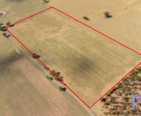 Rural / Farming commercial property for sale at Lot 38 Jackson Lane Neilborough VIC 3570