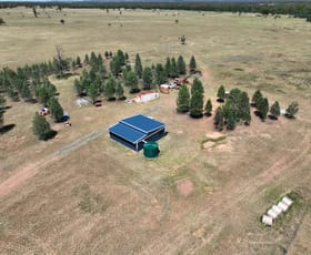 Rural / Farming commercial property for sale at 81 Yarranabe Road Baan Baa NSW 2390