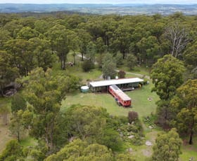 Rural / Farming commercial property for sale at 1293 Mount Lindesay Road Tenterfield NSW 2372