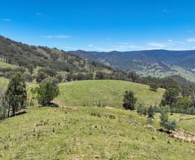 Rural / Farming commercial property for sale at 10 Nowendoc Road Ogunbil NSW 2340