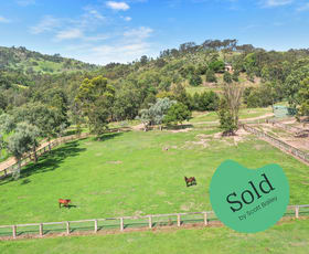 Rural / Farming commercial property sold at 41 Miller Road Singleton NSW 2330