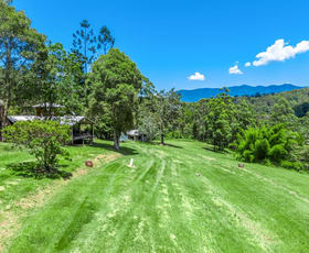 Rural / Farming commercial property sold at 364 Byrrill Creek Road Byrrill Creek NSW 2484