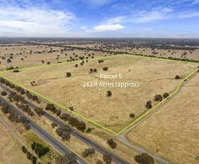 Rural / Farming commercial property for sale at 145 Mahers Road Violet Town VIC 3669