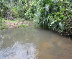 Rural / Farming commercial property sold at Lot 161/Lot 161 Fraser Road Millaa Millaa QLD 4886