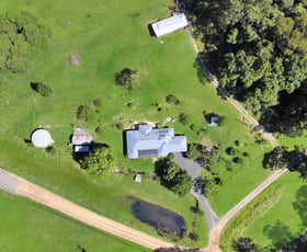 Rural / Farming commercial property for sale at 79 Chandlers Lane Wyong Creek NSW 2259