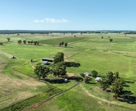 Rural / Farming commercial property for sale at 150R Mogriguy Forest Road Dubbo NSW 2830