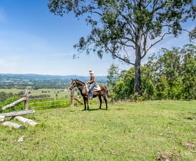 Rural / Farming commercial property for sale at 262 Wallaby Joe Road Wingham NSW 2429