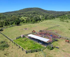 Rural / Farming commercial property for sale at 262 Wallaby Joe Road Wingham NSW 2429