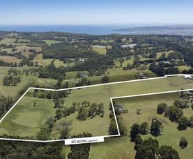 Rural / Farming commercial property for sale at 180 Main Creek Road Arthurs Seat VIC 3936