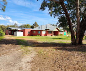 Rural / Farming commercial property sold at 558 Cooraminning Road Dumberning WA 6312 Rural / Farming commercial property sold at 558 Cooraminning Road Dumberning WA 6312