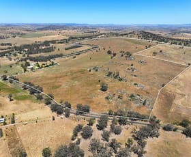 Rural / Farming commercial property for sale at 1432 Pine Mount Road Darbys Falls NSW 2793