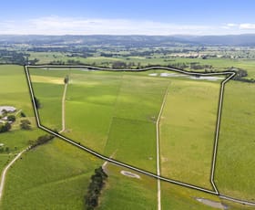 Rural / Farming commercial property for sale at 150 + 220 Marshalls Road Traralgon VIC 3844