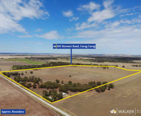 Rural / Farming commercial property for sale at 100 Stewart Road Carag Carag VIC 3623