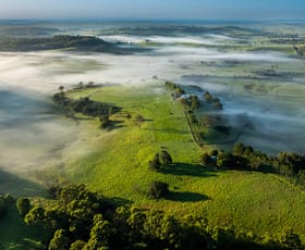 Rural / Farming commercial property sold at 'Hillview' Princes Highway Milton NSW 2538