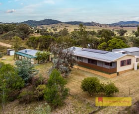 Rural / Farming commercial property for sale at 87 Pindari Road Mudgee NSW 2850