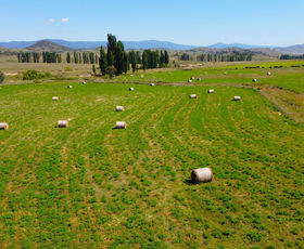 Rural / Farming commercial property for sale at 116 & 117 , 401 Rothlyn Road Chakola NSW 2630