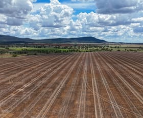 Rural / Farming commercial property for sale at 475 Preston Road Gunnedah NSW 2380