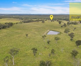 Rural / Farming commercial property sold at 1556 Lumley Road Goulburn NSW 2580