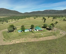 Rural / Farming commercial property for sale at 2367 Kelvin Road Gunnedah NSW 2380