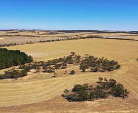 Rural / Farming commercial property for sale at Rifle Range Road Kukerin WA 6352