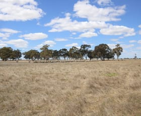 Rural / Farming commercial property sold at 1234 Lucindale Road Naracoorte SA 5271