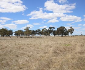 Rural / Farming commercial property for sale at 1234 Lucindale Road Naracoorte SA 5271