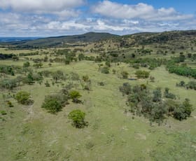 Rural / Farming commercial property for sale at 1490 Back Creek Road Back Creek NSW 2372