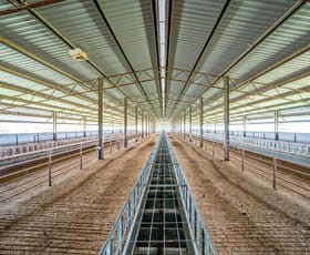 Rural / Farming commercial property for sale at 1078 Mid Western Highway Cowra NSW 2794