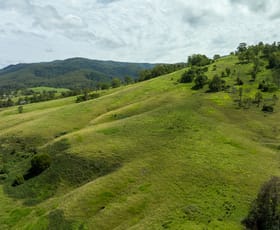 Rural / Farming commercial property sold at 664 Bowman Farm Road Bowman NSW 2422