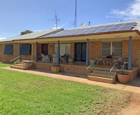 Rural / Farming commercial property sold at 1997 Backwater Road Narromine NSW 2821