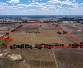 Rural / Farming commercial property sold at 115 Ellen Lane Byawatha VIC 3678