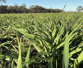 Rural / Farming commercial property for sale at CA/75 A Watkins Road Karnak VIC 3401