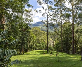 Rural / Farming commercial property sold at 60 Hillandale Road Broughton Vale NSW 2535