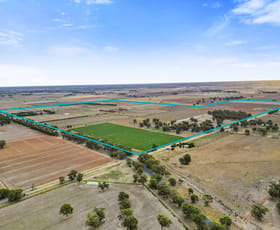 Rural / Farming commercial property for sale at 3142 Murray Valley Highway Nathalia VIC 3638