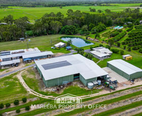 Rural / Farming commercial property for sale at 4283 Kennedy Highway Mareeba QLD 4880