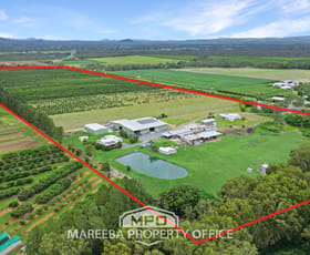 Rural / Farming commercial property for sale at 4283 Kennedy Highway Mareeba QLD 4880