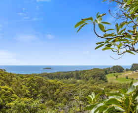 Rural / Farming commercial property for sale at 119 Gaudrons Road Sapphire Beach NSW 2450