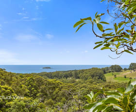 Rural / Farming commercial property for sale at 119 Gaudrons Road Sapphire Beach NSW 2450