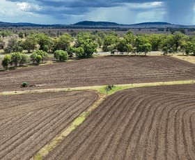 Rural / Farming commercial property for sale at 10788 Kamilaroi Highway Gunnedah NSW 2380