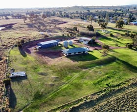 Rural / Farming commercial property for sale at 113 Bendick Murrell Rd via Young NSW 2594