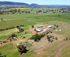 Rural / Farming commercial property for sale at 113 Bendick Murrell Rd via Young NSW 2594