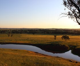 Rural / Farming commercial property for sale at Young NSW 2594