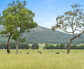 Rural / Farming commercial property for sale at 1030 Martindale Road Martindale NSW 2328