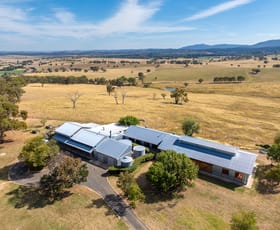 Rural / Farming commercial property for sale at 747 Tarana Road Brewongle NSW 2795