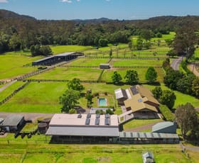 Rural / Farming commercial property for sale at 557 Yarramalong Road Wyong Creek NSW 2259