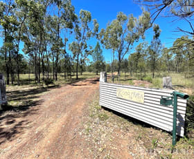 Rural / Farming commercial property for sale at 3853 Moonie Highway Dalby QLD 4405