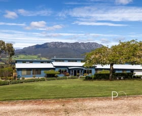 Rural / Farming commercial property for sale at 99 Brays Road Sheffield TAS 7306