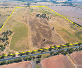Rural / Farming commercial property for sale at 1111 Newell Highway Wyalong NSW 2671
