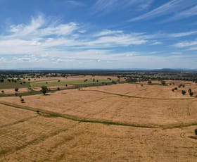 Rural / Farming commercial property sold at 2106 Willala Road Gunnedah NSW 2380