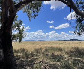 Rural / Farming commercial property sold at " Bluevale Lagoon" 232 Blue Vale Road Gunnedah NSW 2380